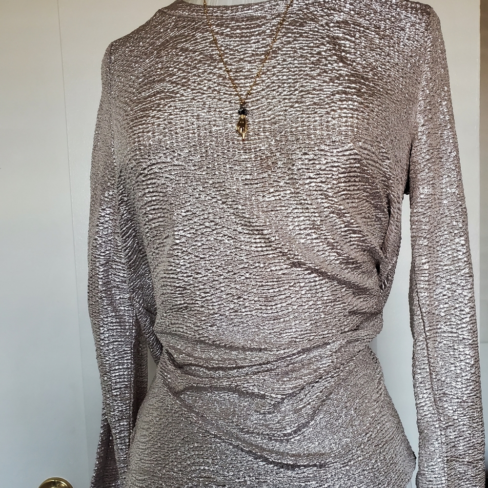 Ann Taylor shimmery top